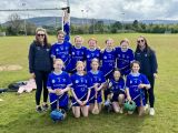 Camogie and Hurling 