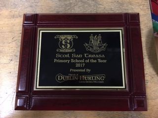 FODH Awards 2017 - plaque