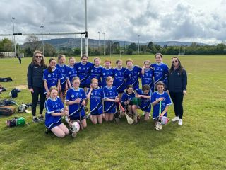 Camogie and Hurling 