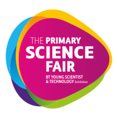 The Primary Science Fair