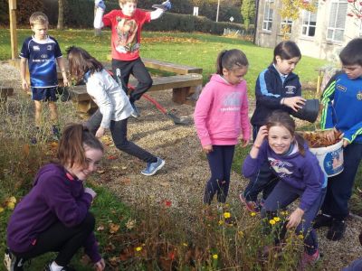 Biodiversity in 4th Class Biodiversity in 4th Class