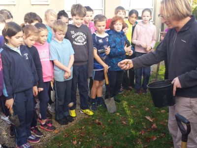 Biodiversity in 4th Class Biodiversity in 4th Class