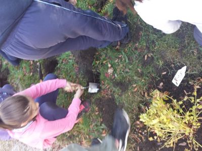Biodiversity in 4th Class Biodiversity in 4th Class