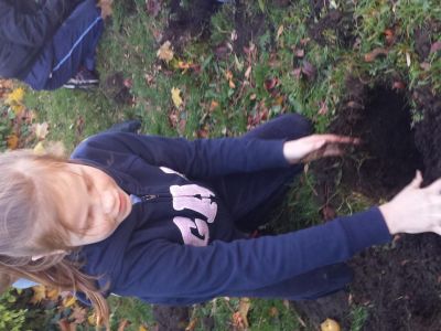 Biodiversity in 4th Class Biodiversity in 4th Class