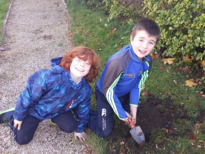 Biodiversity in 4th Class Biodiversity in 4th Class