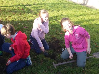 Biodiversity in 4th Class Biodiversity in 4th Class
