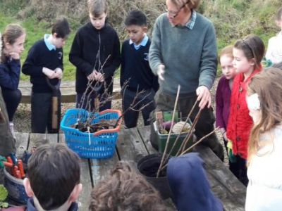 Biodiversity in 4th Class Biodiversity in 4th Class