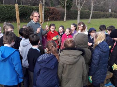 Biodiversity in 4th Class Biodiversity in 4th Class