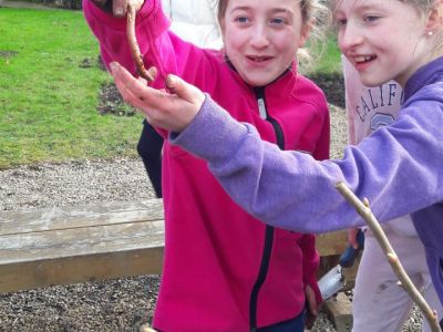 Biodiversity in 4th Class Biodiversity in 4th Class