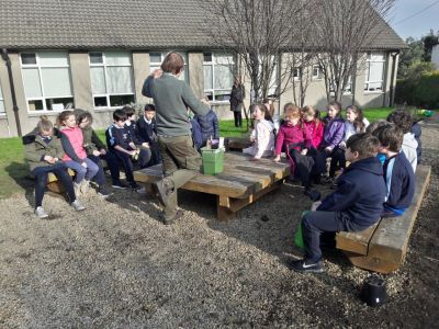 Biodiversity in 4th Class Biodiversity in 4th Class