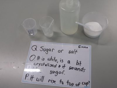 UCD Science Excursion 
