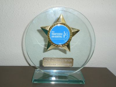 Dublin Primary School Mini-Basketball 