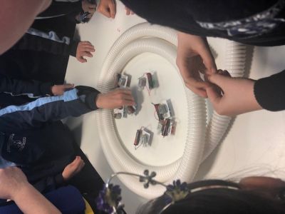 Fourth Class visit UCD (Science Outreach Programme0 Fourth Class visit UCD (Science Outreach Programme0