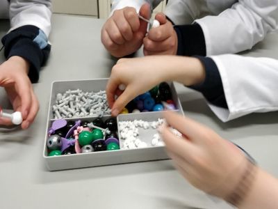 Our Fourth Class Science Trip to UCD