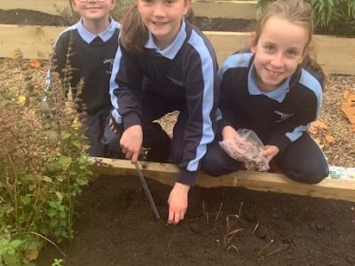 Outdoor Classroom 