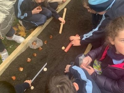 Outdoor Classroom 