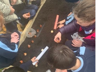 Outdoor Classroom 