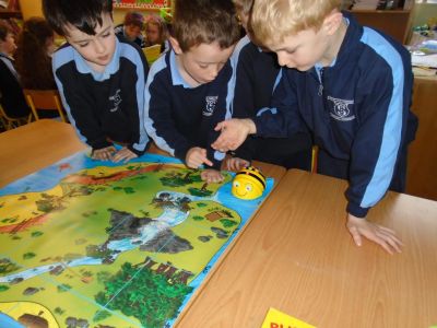 Bee-Bots in action - Senior Infants