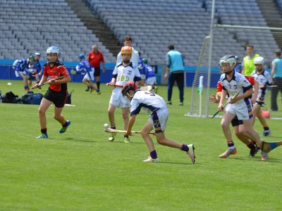 Scoil San Treasa win the Herald Cup Division 1 Hurling Final