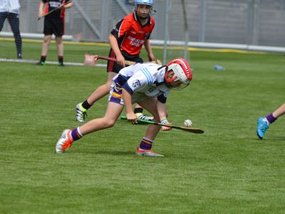 Scoil San Treasa win the Herald Cup Division 1 Hurling Final