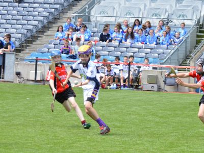 Scoil San Treasa win the Herald Cup Division 1 Hurling Final