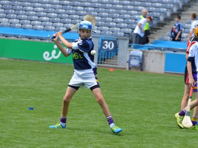 Scoil San Treasa win the Herald Cup Division 1 Hurling Final