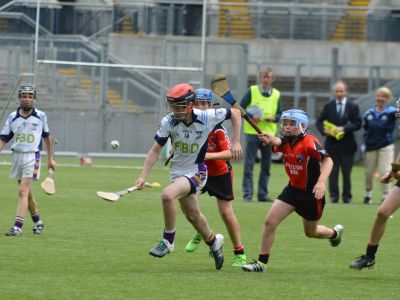 Scoil San Treasa win the Herald Cup Division 1 Hurling Final