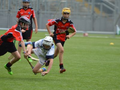 Scoil San Treasa win the Herald Cup Division 1 Hurling Final