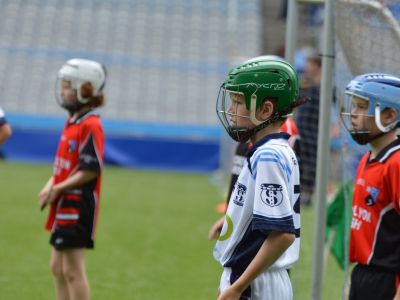 Scoil San Treasa win the Herald Cup Division 1 Hurling Final