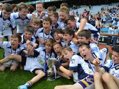 Scoil San Treasa win the Herald Cup Division 1 Hurling Final