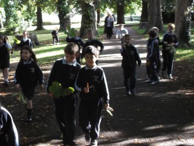 Lá na gCrann – National Tree Day- 8th October Lá na gCrann – National Tree Day- 8th October