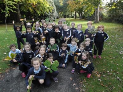 Lá na gCrann – National Tree Day- 8th October Lá na gCrann – National Tree Day- 8th October