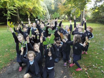 Lá na gCrann – National Tree Day- 8th October Lá na gCrann – National Tree Day- 8th October
