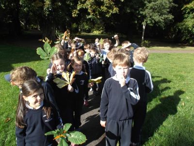 Lá na gCrann – National Tree Day- 8th October Lá na gCrann – National Tree Day- 8th October