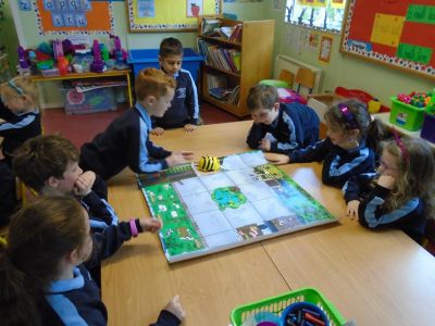 Bee-Bots in action - Senior Infants