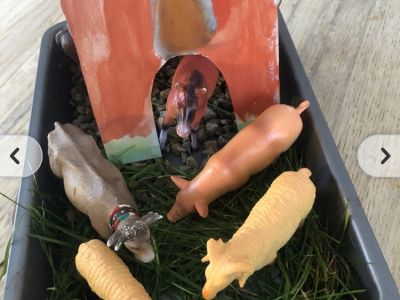 Farm Models