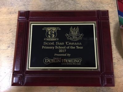 FODH Awards 2017 - plaque FODH Awards 2017 - plaque