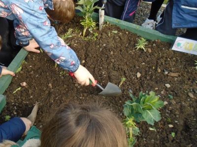 Gardening - Senior Infants Gardening - Senior Infants
