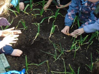 Gardening - Senior Infants Gardening - Senior Infants