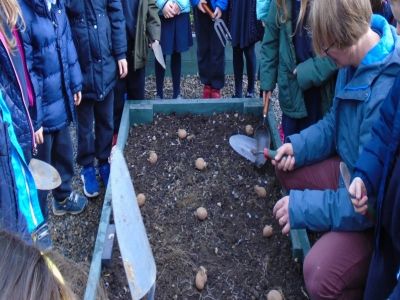 Gardening - Senior Infants Gardening - Senior Infants
