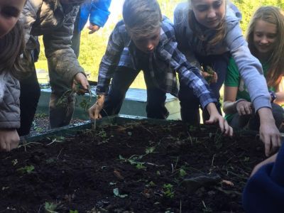 Biodiversity Programme Biodiversity Programme
