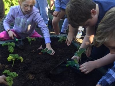 Biodiversity Programme Biodiversity Programme