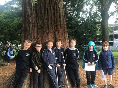 National Tree Day 