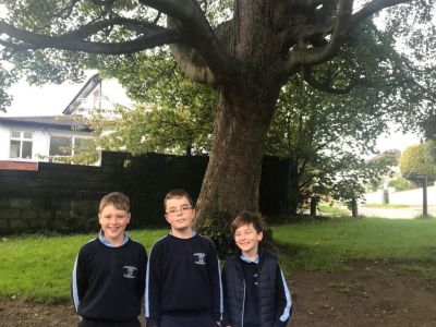 National Tree Day 