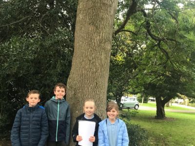 National Tree Day 