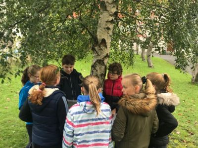 National Tree Day 