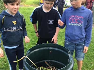 Biodiversity with Patrick Hunt