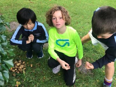 Biodiversity with Patrick Hunt