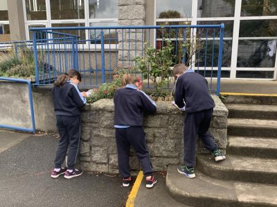 Maths Week 2020