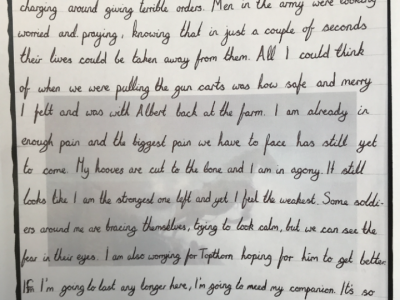 Fifth Class Writing: War Horse 